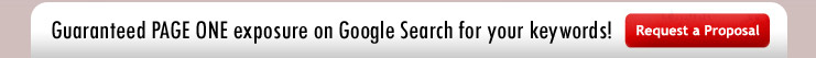 request free internet marketing proposal